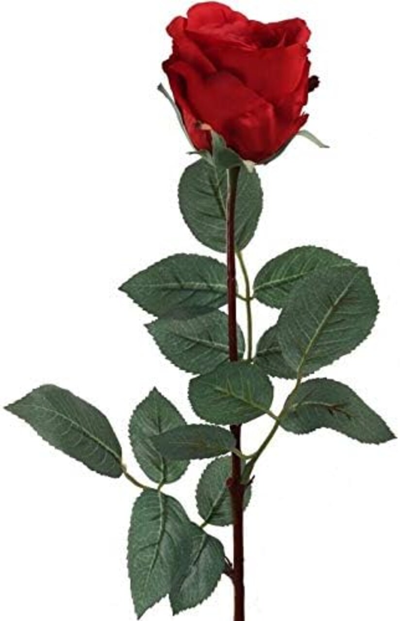 30" Premium Red Silk Rose Bud - Lifelike Bloom, Elegant Floral Décor, Perfect for Arrangements, Events & Home Displays - Ideal for All Seasons, Floral Home by Artificial Flowers